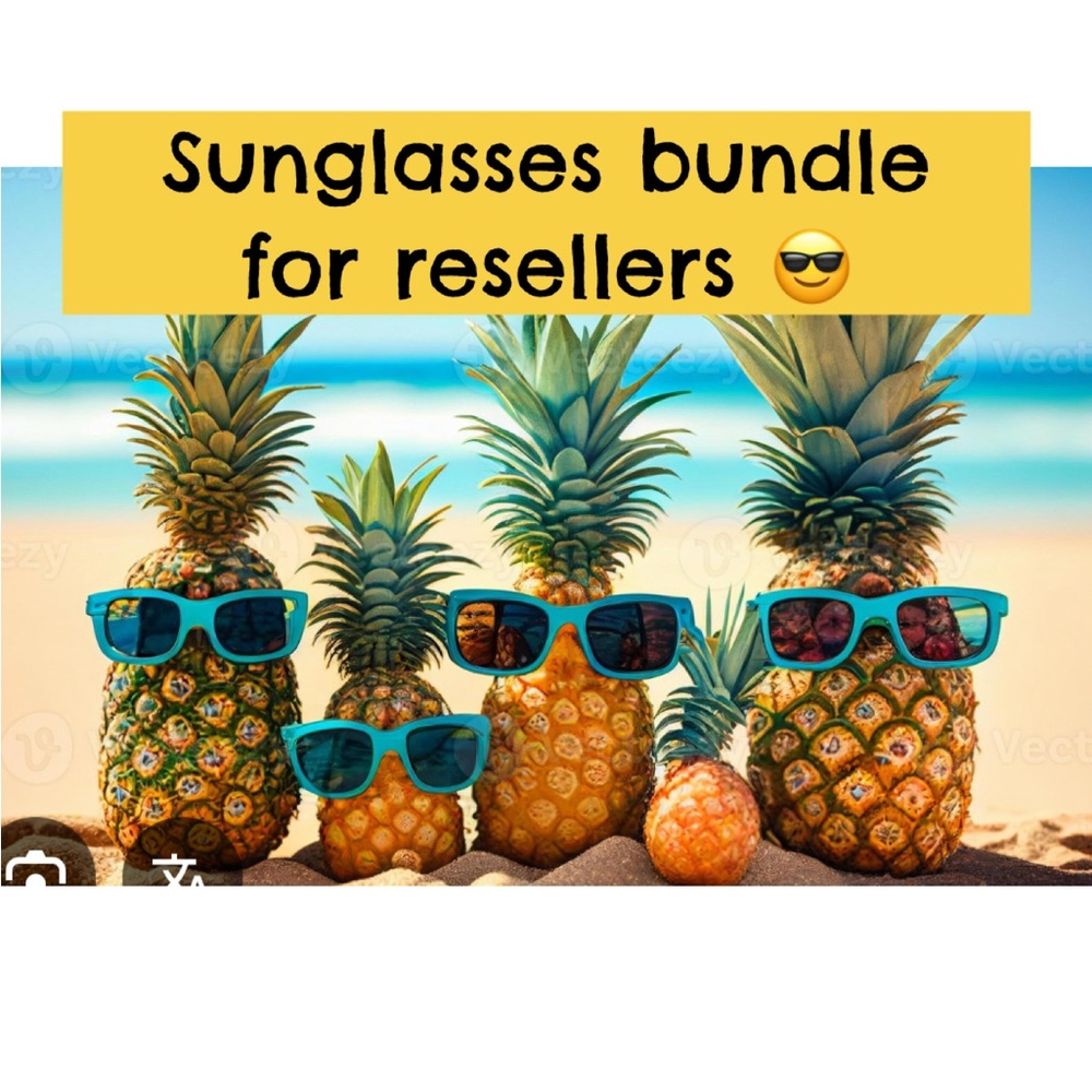 Big Sunglasses Bundle - image 1